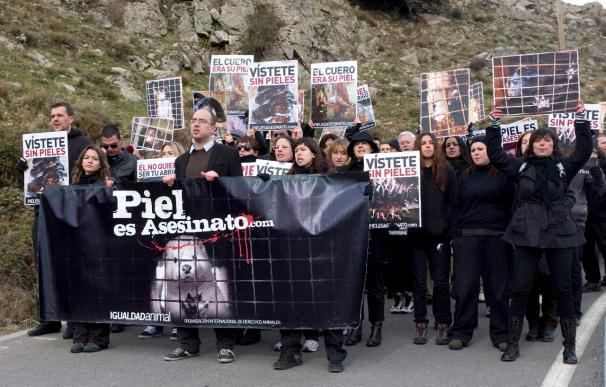 Activistas pro derechos de los animales protestan ante una granja de visones