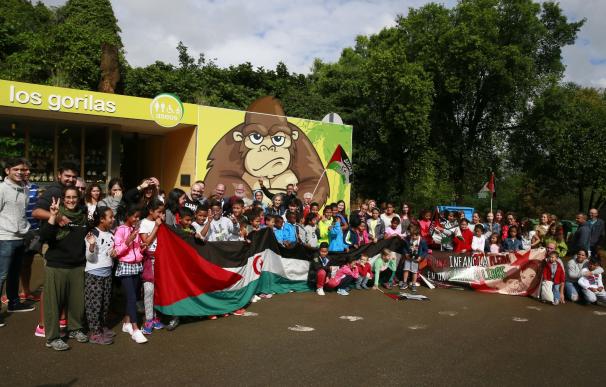 Los 76 niños saharauis del programa 'Vacaciones en paz' visitan Cabárceno