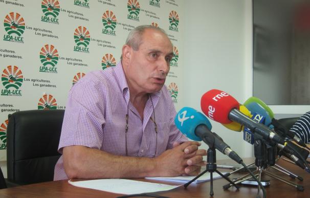 UPA-UCE Extremadura defiende las medidas contra el abejaruco y rechaza las opiniones "sesgadas" de los ecologistas