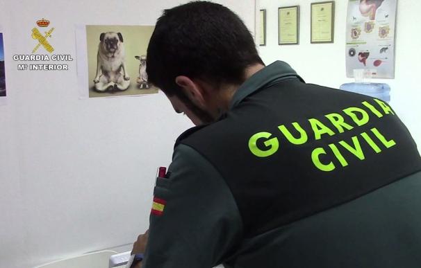 Investigan a un veterinario por maltrato animal y estafa en Palma