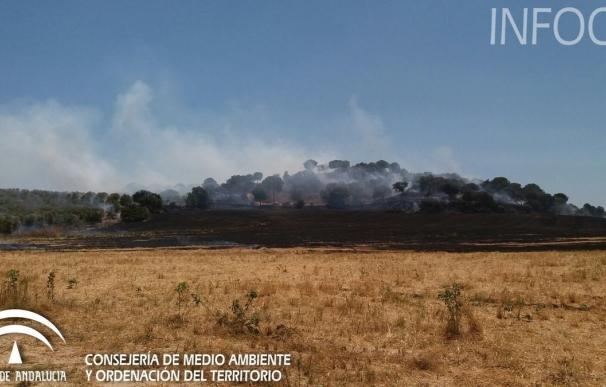 El Infoca da por controlado el incendio forestal de Gibraleón