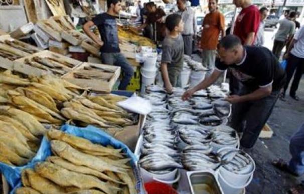 El mundo paga un alto precio por la sobrepesca, según expertos