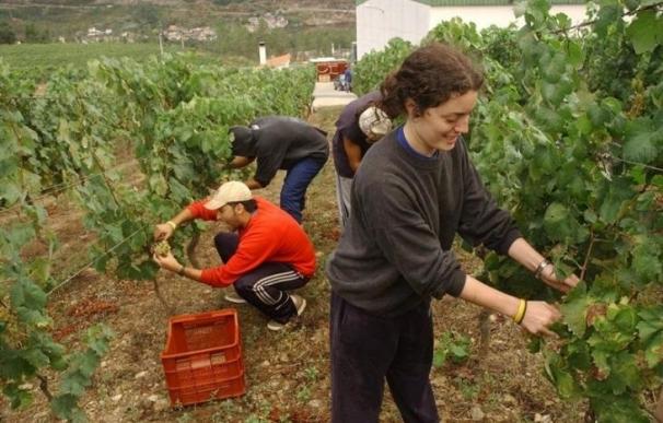 Economía subvenciona el acondicionamiento de alojamientos para trabajadores temporales del sector agropecuario