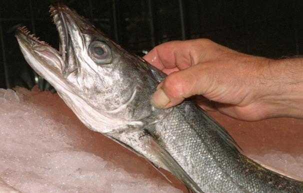 La CE propone mantener las cuotas de pesca de merluza del norte y subir el 15 por ciento la ibérica