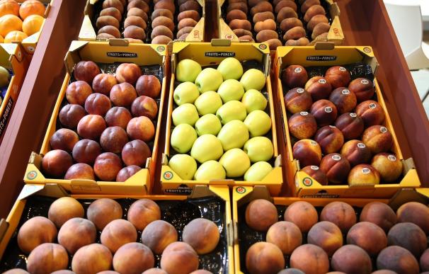 Mercolleida pide fijar un precio de la fruta en origen con datos de ventas de las centrales