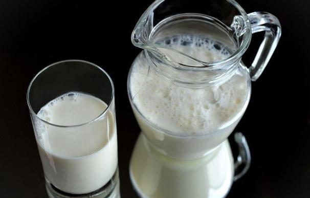 El consumo de proteínas y minerales lácteos reduce el riesgo de hipertensión y enfermedad cardiovascular