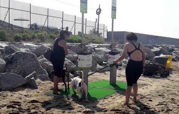 Barcelona abre el área para perros de la playa de Llevant