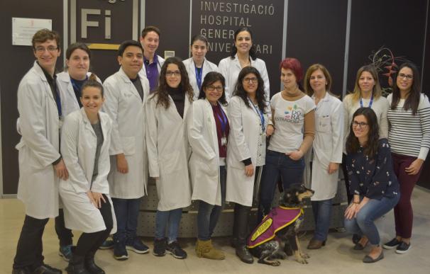 Una investigación del General de València empleará animales para la detección precoz del cáncer de pulmón