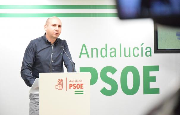 PSOE asegura que PP "quiere echar" a De la Torre y afirma que Cs "no debería ser cómplice" de esa "conspiración"