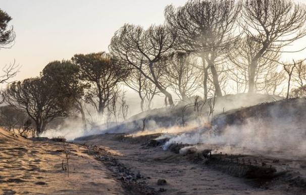 De Felipe González a los incendios: las polémicas que han rodeado Doñana