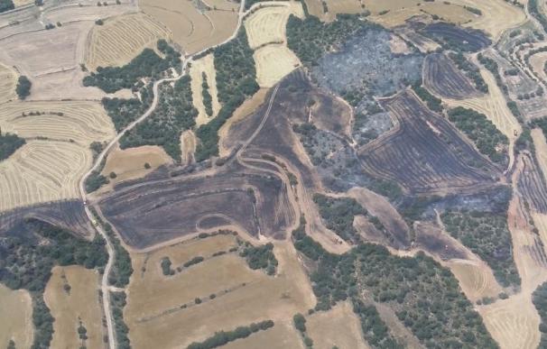 Estabilizado un incendio forestal en Agramunt (Lleida) tras quemar diez hectáreas