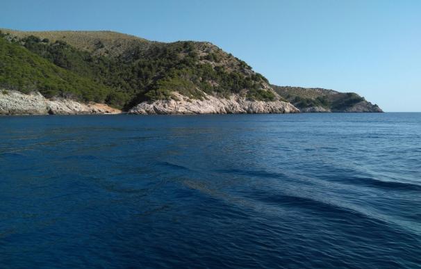 El 21,6% de las aguas interiores de Baleares son reserva marinas