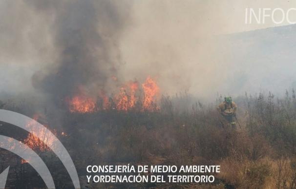 Estabilizado el incendio declarado en un paraje de Ayamonte