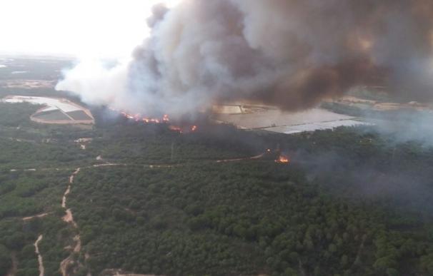 Puig sigue "con preocupación" el incendio en Moguer y ofrece apoyo y medios a la Junta de Andalucía