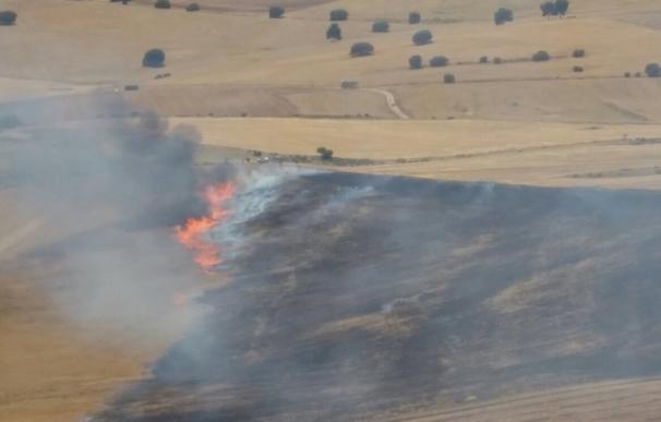 Arden 18 hectáreas de terreno forestal en un incendio en El Moral (Caravaca de la Cruz)