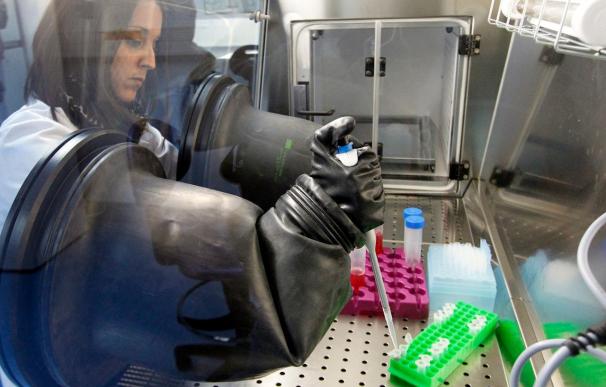 España cuenta con el primer laboratorio del mundo para "resucitar"órganos