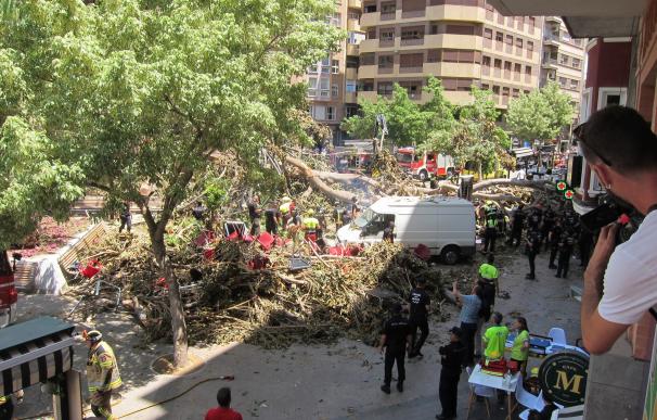 Una herida leve y dos crisis de ansiedad, último balance por la caída de parte del ficus de la Plaza de Santo Domingo
