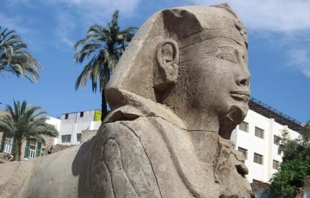 Hallan 12 nuevas esfinges en la avenida que unía los templos de Luxor y Karnak