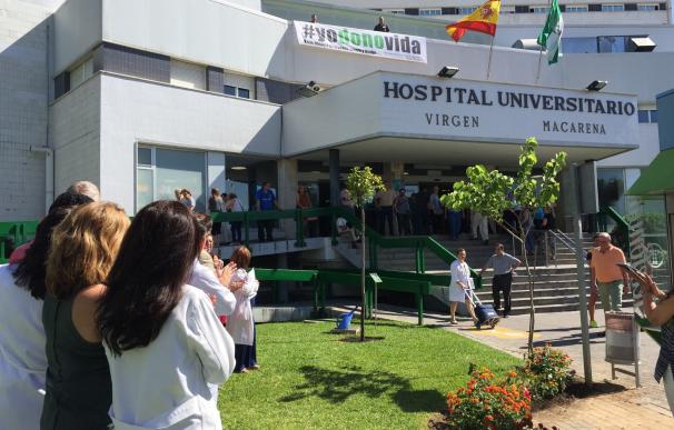 El Hospital Macarena celebra el Día Nacional del Donante con profesionales y asociaciones de transplantados