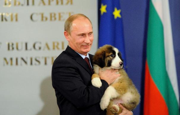 Putin invita a los rusos a que elijan un nombre para su nuevo perro