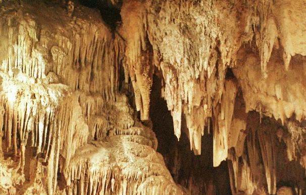 La Cueva de Nerja, clave para estudiar la extinción de los neandertales