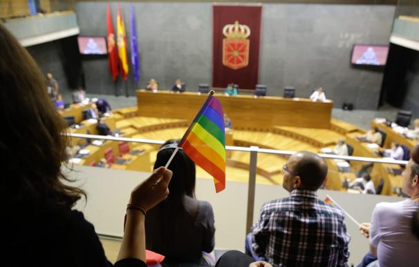 El Parlamento de Navarra aprueba una ley de igualdad del colectivo LGTBI+