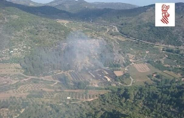 Generalitat invertirá 66,5 millones en los bosques valencianos a partir de 2017, 49 en restauración de hábitat forestal