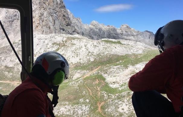 Se retoma el operativo de búsqueda por tierra y aire de los senderistas suizos desaparecidos en Picos de Europa