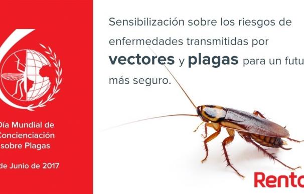 Cucarachas, xilófagos y roedores, las plagas más comunes en España