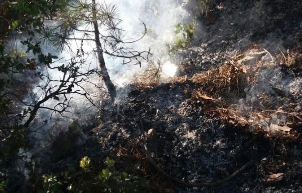 El Infoca interviene en un incendio declarado en las faldas de El Yelmo, en Segura de la Sierra