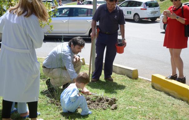 Pacientes infantiles del Complejo Hospitalario realizan una plantación con motivo del Día del Medio Ambiente