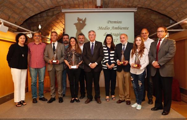 Sargantana, el IES 'Zaurín' de Ateca y los ayuntamientos de Utebo y Calatayud, Premios de Medio Ambiente Aragón 2017