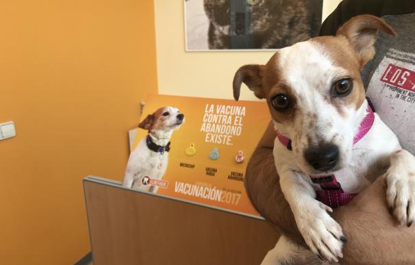El Refugio inicia una campaña contra el abandono de perros y gatos a través de la vacunación y la identificación