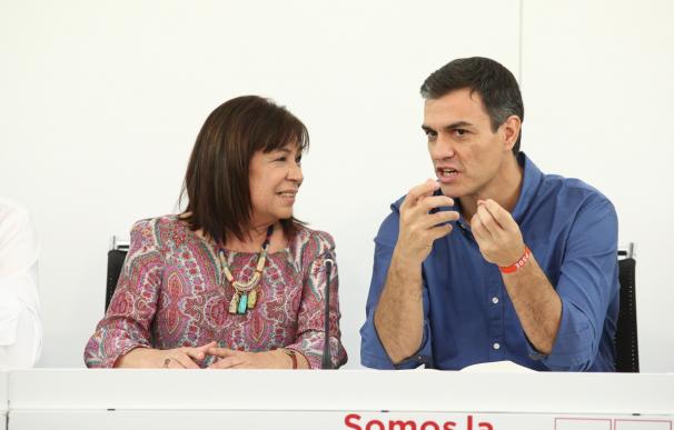 Narbona pide un diagnóstico "sereno pero autocrítico" para que se reconozca al PSOE como partido socialdemócrata