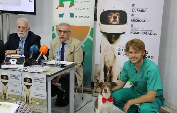 Veterinarios advierten de que sólo el 31% de los perros se vacunó contra la rabia en 2016 en Andalucía