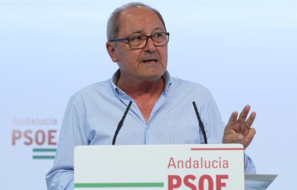 PSOE-A quiere saber si el estado plurinacional puede suponer que haya "españoles de primera y de segunda"