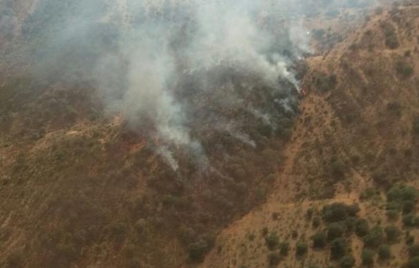El Infoca trabaja en la extinción de un incendio forestal en un paraje de Encinasola