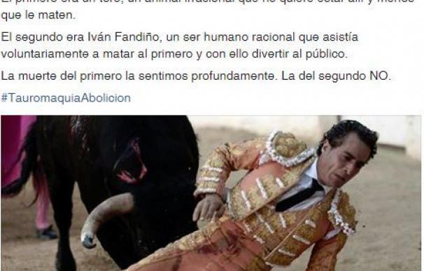 AUCMA, asociación animalista, lamenta la muerte del toro, pero no de Iván Fandiño