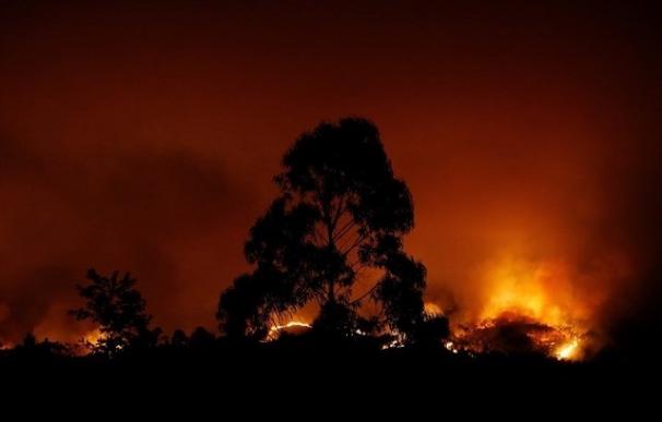 El BNG traslada sus "condolencias" por el incendio de Portugal y reclama "un gran pacto" sobre el monte gallego