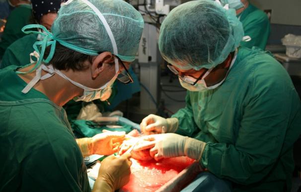 España prepara un proyecto piloto para intercambiar donantes de riñón con Italia y Portugal