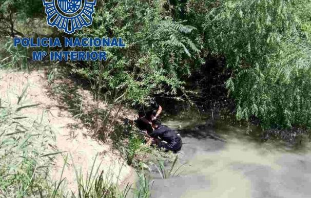 Rescatado un hombre que se estaba ahogando en el Guadalquivir cerca del Jardín Botánico de la capital