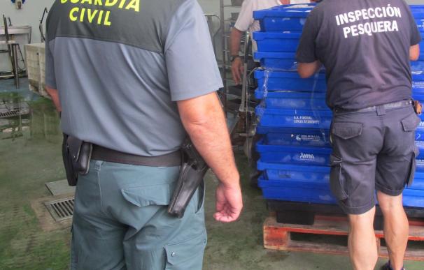 Intervienen en un almacén de Isla Cristina (Huelva) más de 1.700 kilos de pescado sin etiquetar