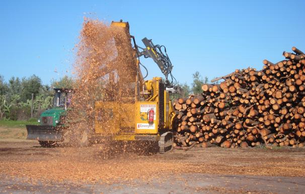 Biowood espera comenzar "a finales de año" la producción de pellets en Niebla y crear 14 empleos fijos