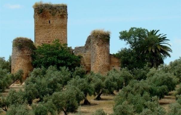 Marmolejo recurre a la Junta para poder proteger el castillo de la Aragonesa