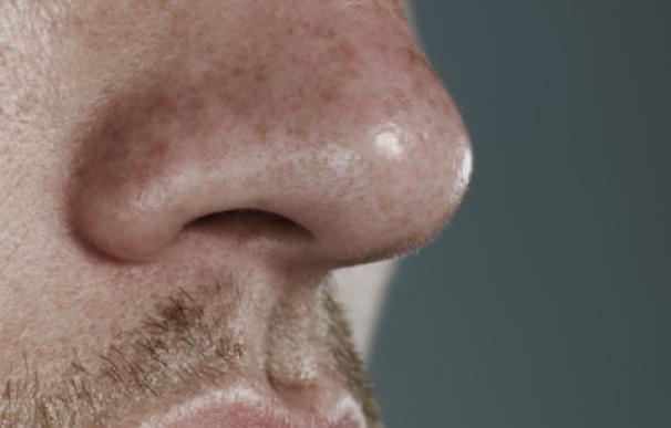 11 curiosidades sobre la nariz que no sabes