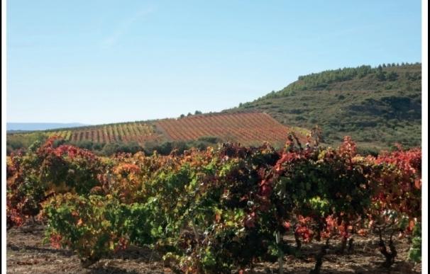 CORREOS emite una tarjeta postal prepagada dedicada a los viñedos riojanos en otoño