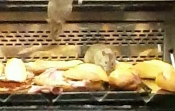 Precintan una panadería Granier de Pueblo Nuevo tras detectar ratas en los mostradores de comida