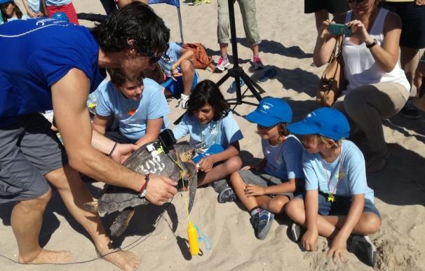 Niños de la escuela de verano del Oceanogràfic sueltan la tortuga 'Picachu' en El Saler