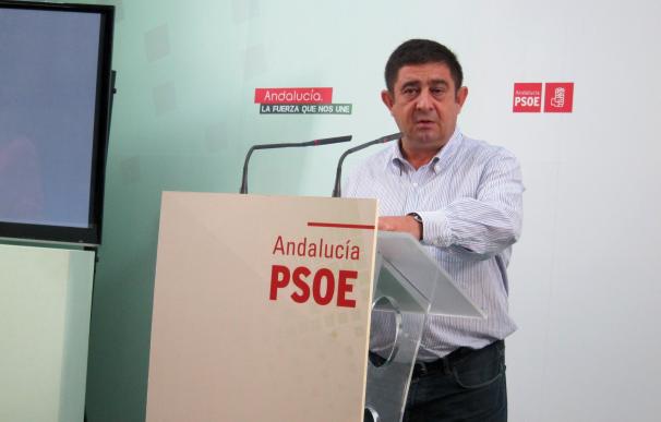 Reyes (PSOE) muestra su "respeto" a la movilización de la marea granadina en el acto de la Ley de Dependencia