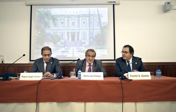 CSIC, US y UPO inician gestiones para convertir la Escuela de Estudios Hispano-Americanos en instituto mixto